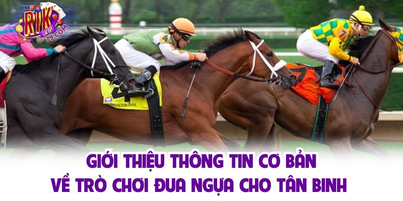 Giới thiệu các thông tin cơ bản nhất về sảnh cược đua ngựa 
